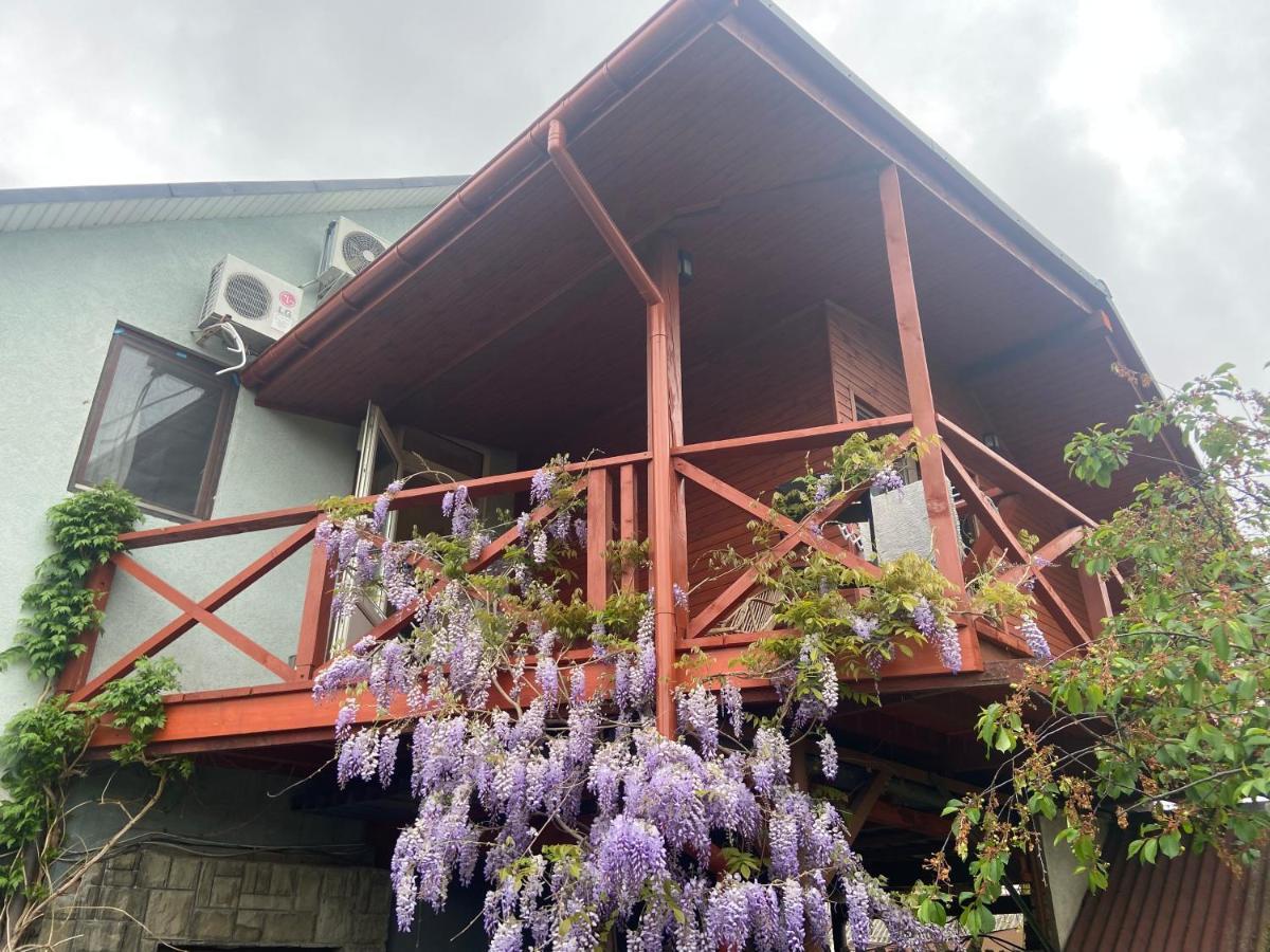 Fkoka Bed & Breakfast Berehove  Exterior photo